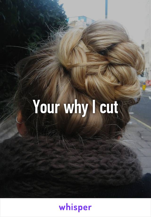 Your why I cut