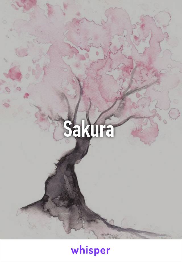 Sakura 