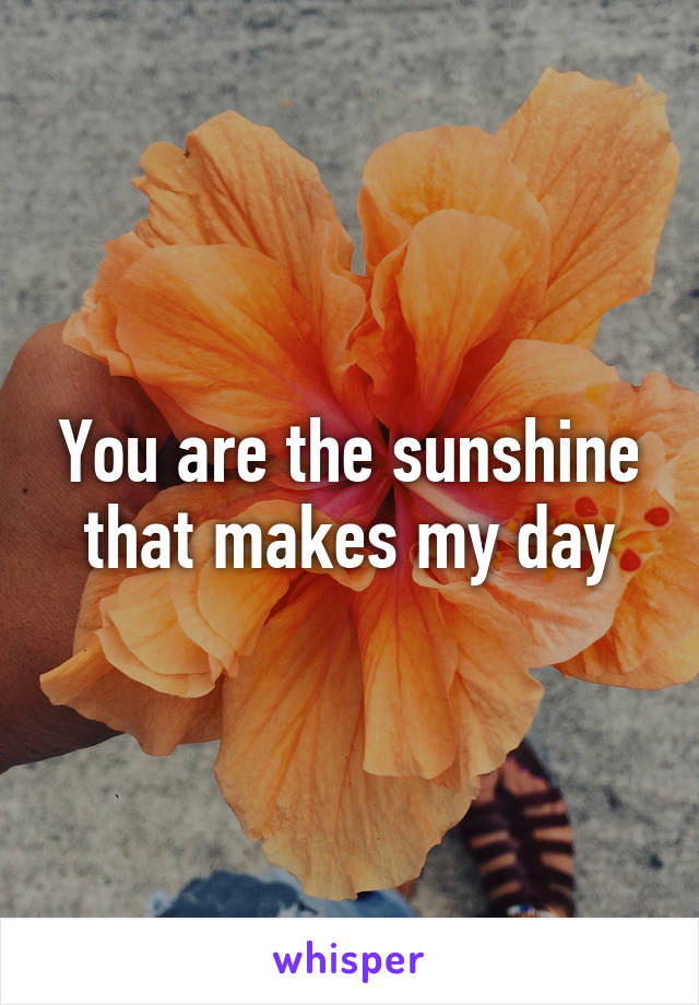 You are the sunshine that makes my day