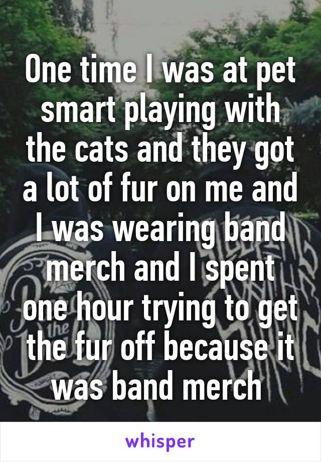 One time I was at pet smart playing with the cats and they got a lot of fur on me and I was wearing band merch and I spent one hour trying to get the fur off because it was band merch 