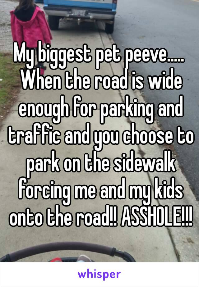 My biggest pet peeve..... When the road is wide enough for parking and traffic and you choose to park on the sidewalk forcing me and my kids onto the road!! ASSHOLE!!!