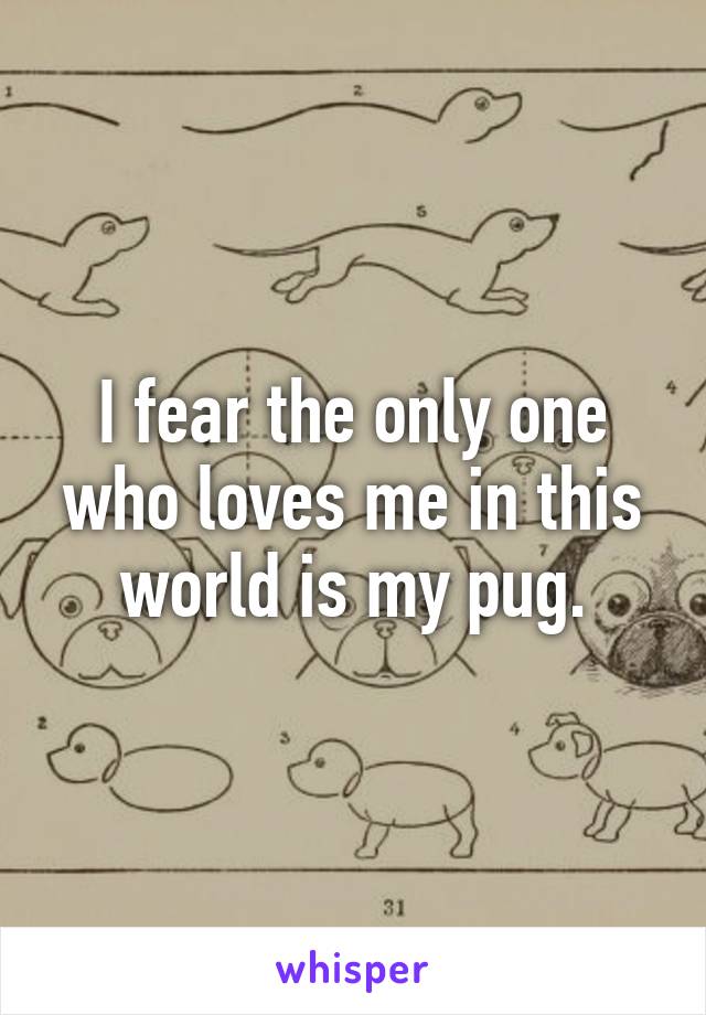 I fear the only one who loves me in this world is my pug.