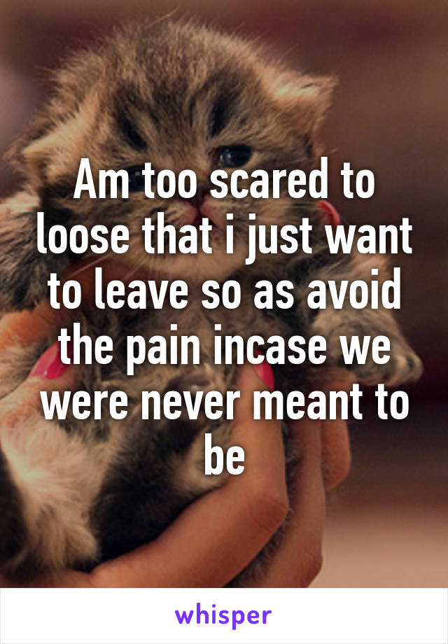 Am too scared to loose that i just want to leave so as avoid the pain incase we were never meant to be