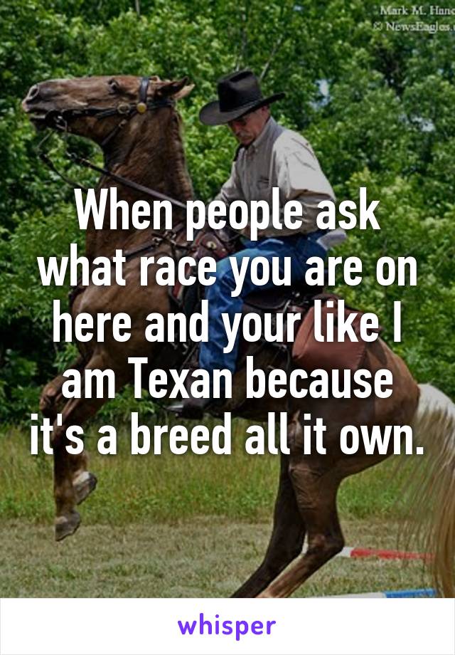 When people ask what race you are on here and your like I am Texan because it's a breed all it own.