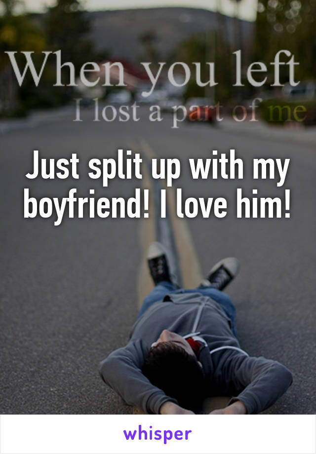 Just split up with my boyfriend! I love him!

