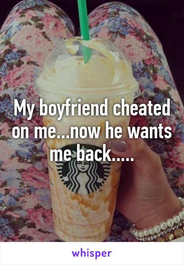 My boyfriend cheated on me...now he wants me back.....