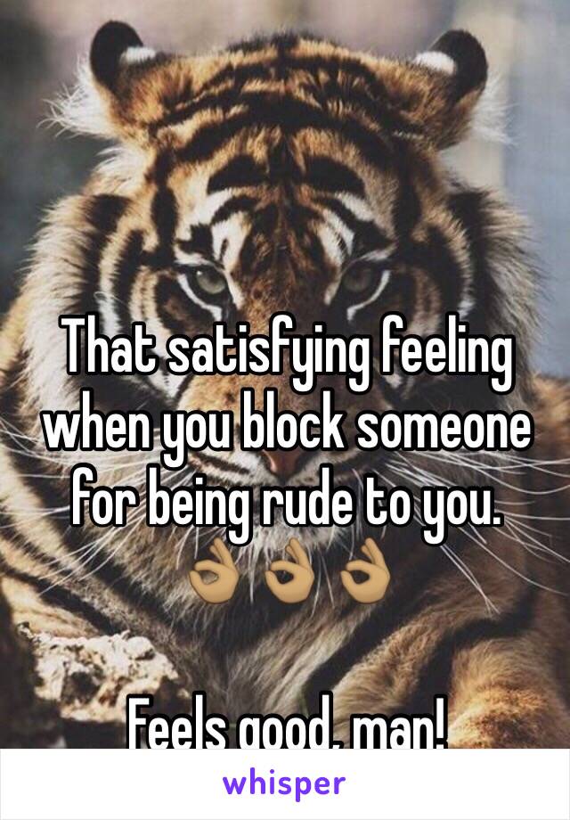 That satisfying feeling when you block someone for being rude to you.     👌🏽👌🏽👌🏽

Feels good, man!