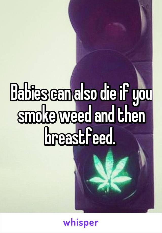 Babies can also die if you smoke weed and then breastfeed. 