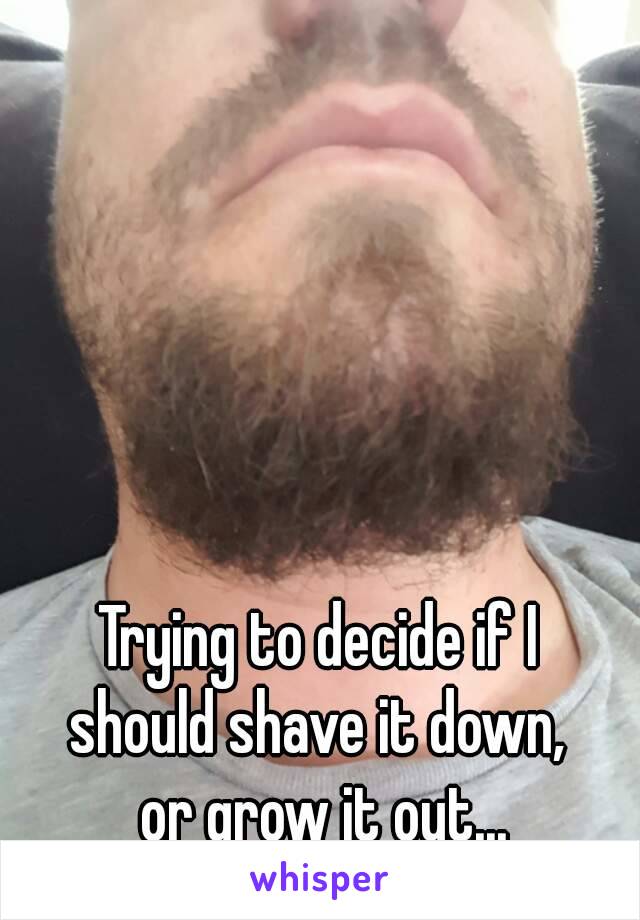 Trying to decide if I 
should shave it down, 
or grow it out...