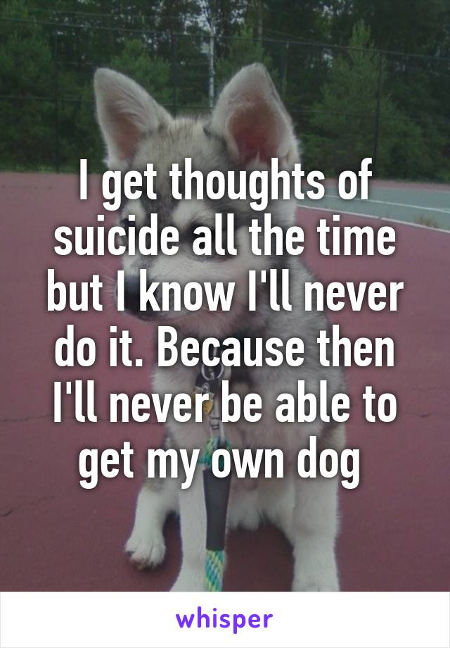 I get thoughts of suicide all the time but I know I'll never do it. Because then I'll never be able to get my own dog 