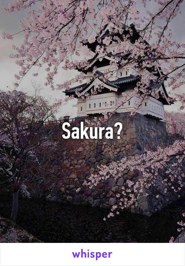 Sakura?