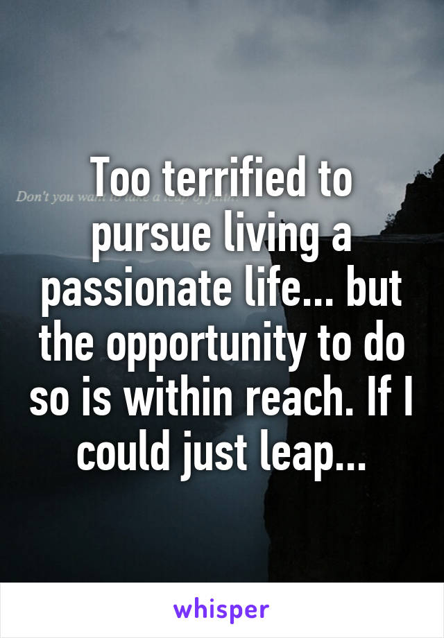 Too terrified to pursue living a passionate life... but the opportunity to do so is within reach. If I could just leap...