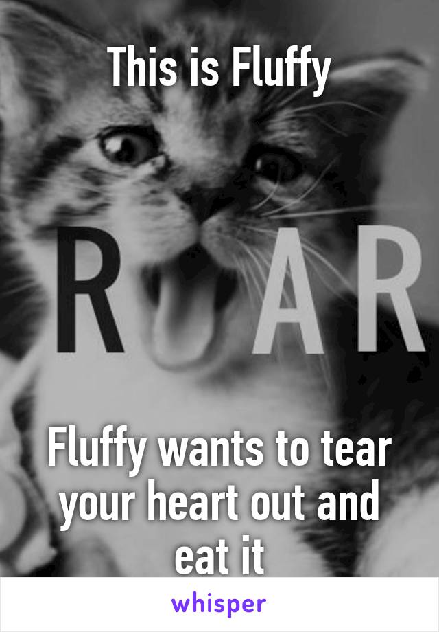 This is Fluffy






Fluffy wants to tear your heart out and eat it