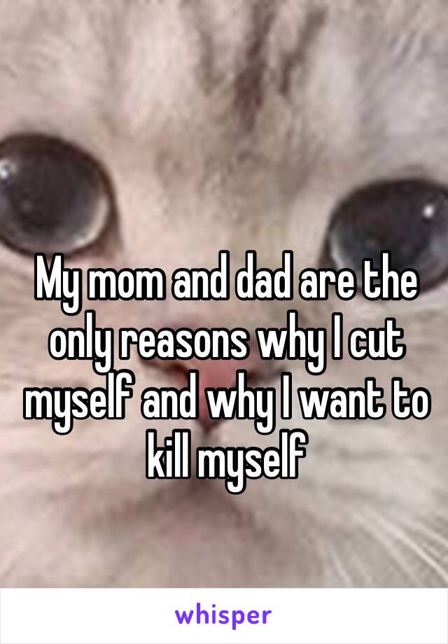 My mom and dad are the only reasons why I cut myself and why I want to kill myself 