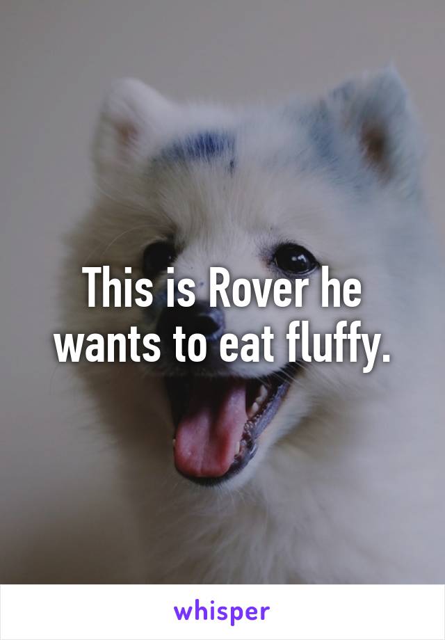 This is Rover he wants to eat fluffy.