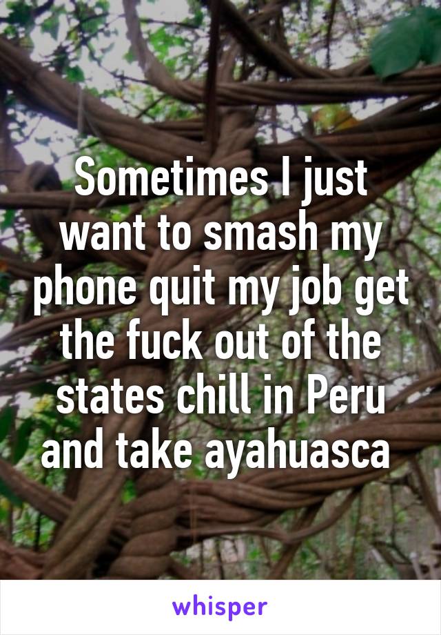 Sometimes I just want to smash my phone quit my job get the fuck out of the states chill in Peru and take ayahuasca 