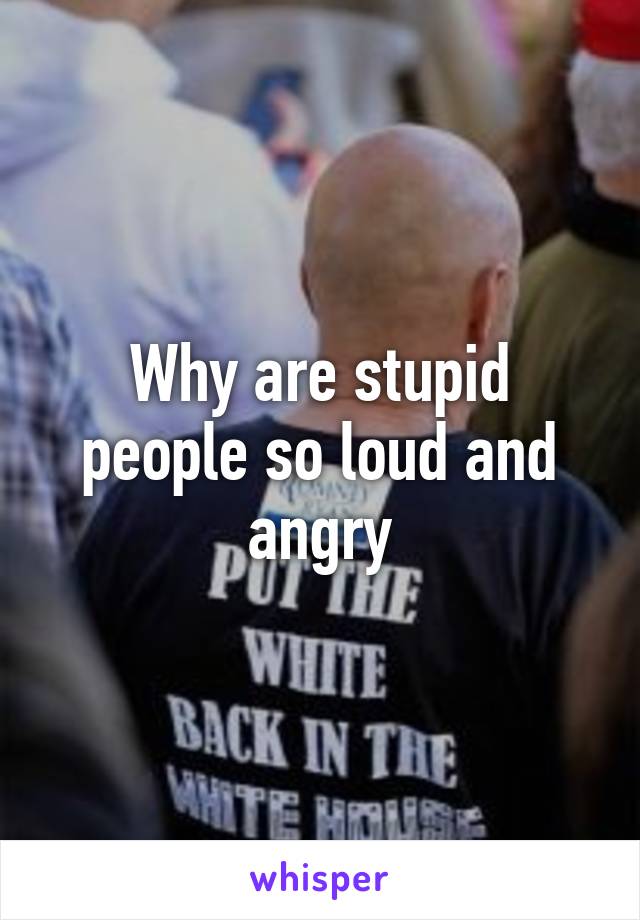 Why are stupid people so loud and angry