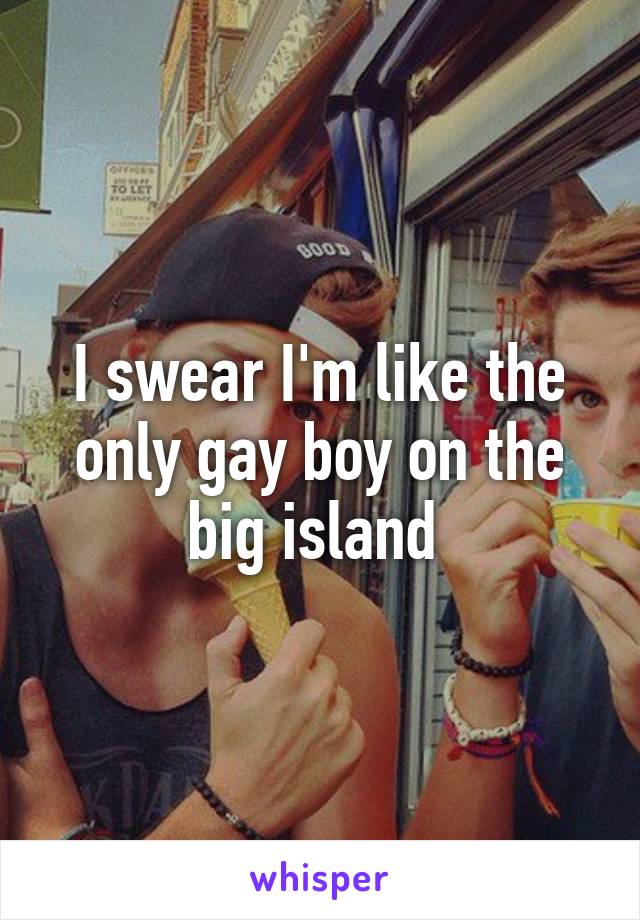 I swear I'm like the only gay boy on the big island 