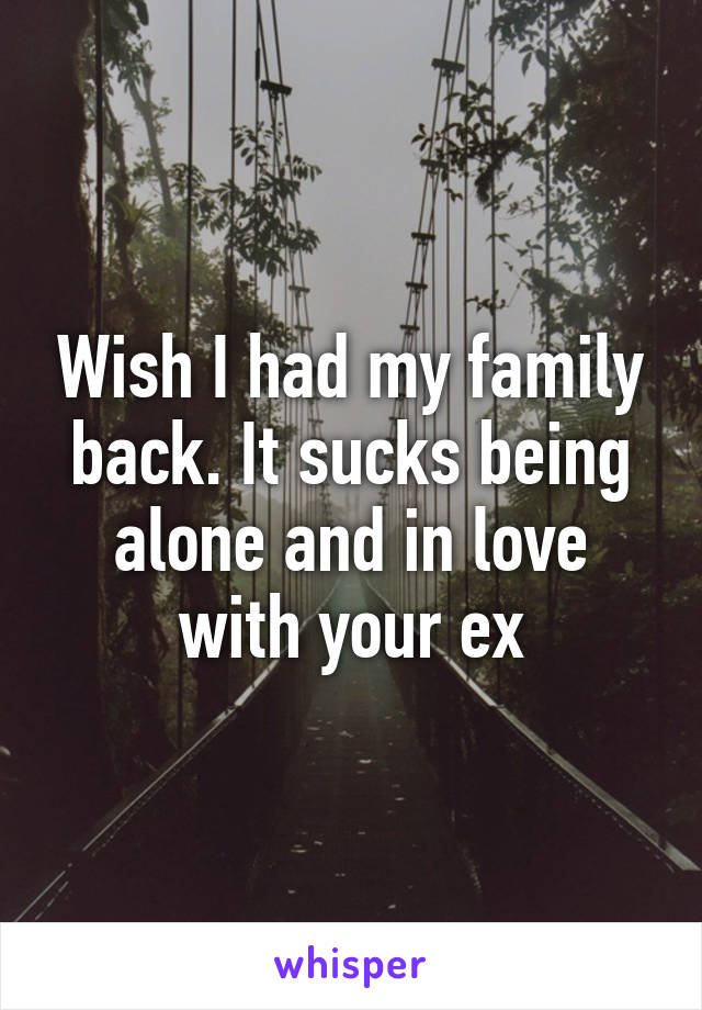 Wish I had my family back. It sucks being alone and in love with your ex
