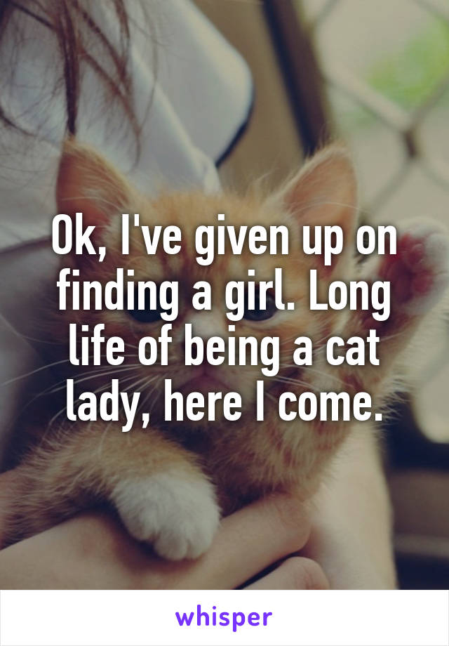 Ok, I've given up on finding a girl. Long life of being a cat lady, here I come.