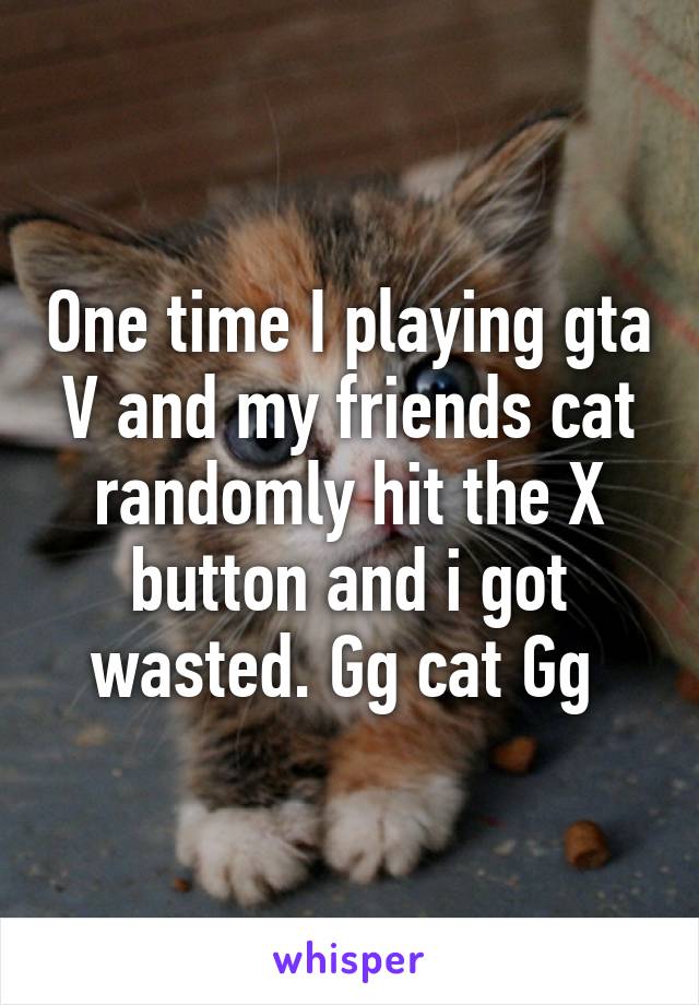 One time I playing gta V and my friends cat randomly hit the X button and i got wasted. Gg cat Gg 