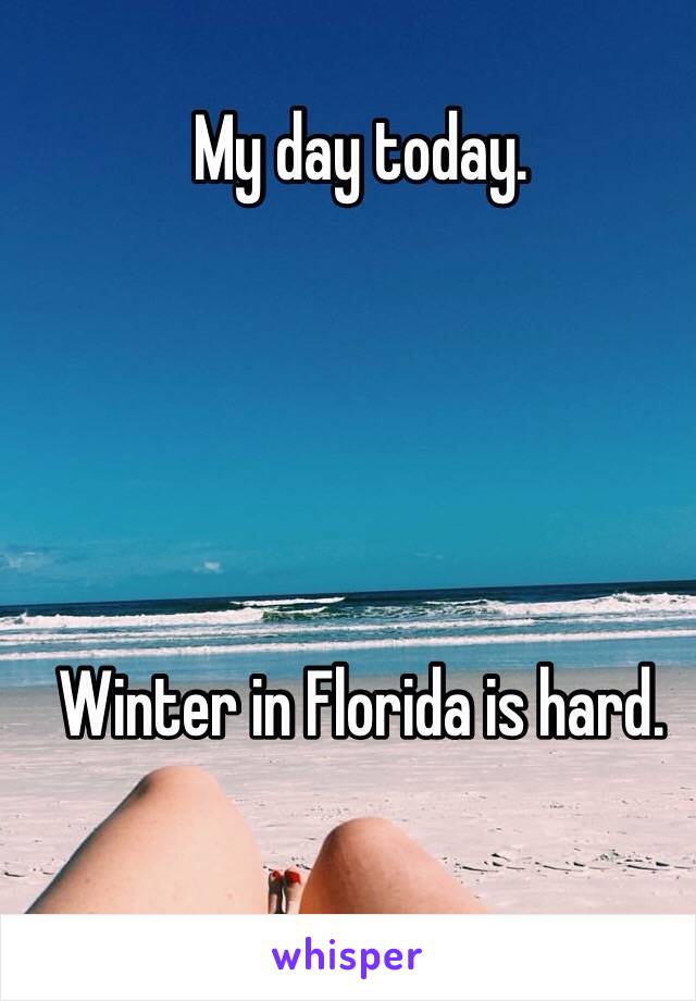 My day today.





Winter in Florida is hard.