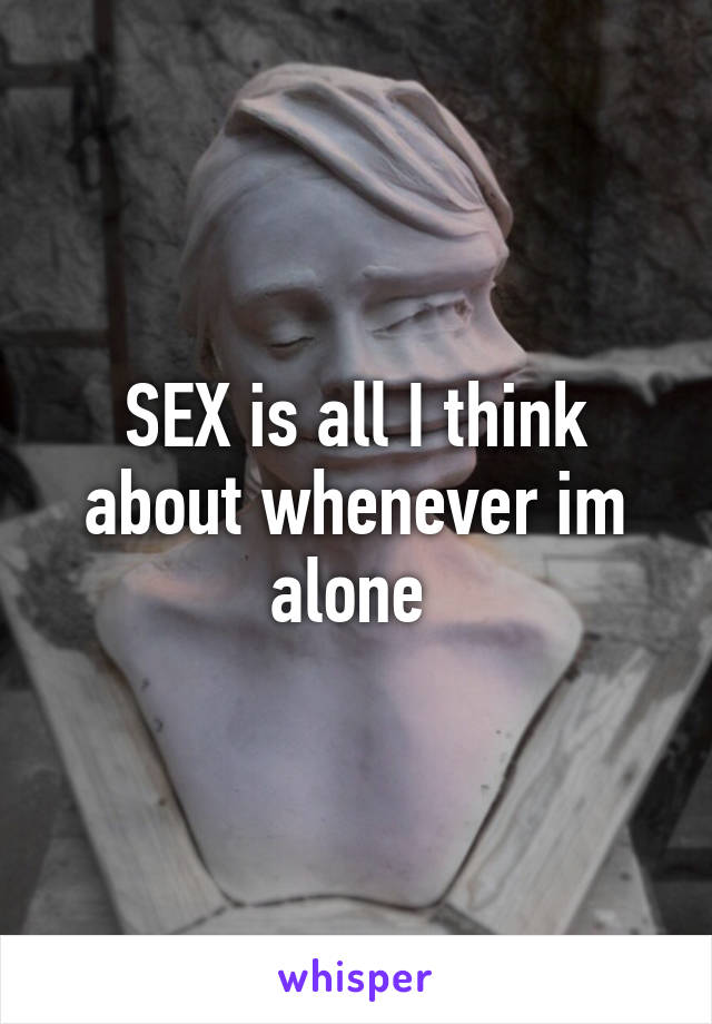 SEX is all I think about whenever im alone 