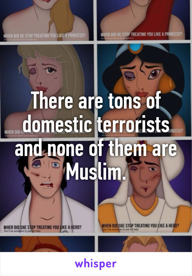 There are tons of domestic terrorists and none of them are Muslim.