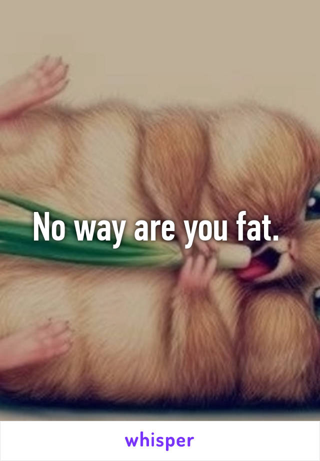 No way are you fat. 