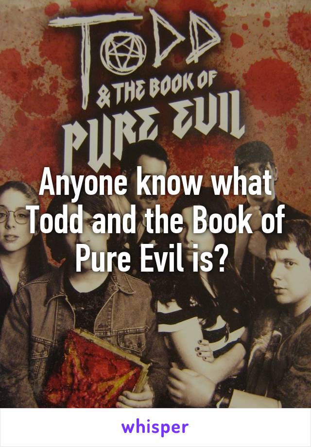 Anyone know what Todd and the Book of Pure Evil is? 