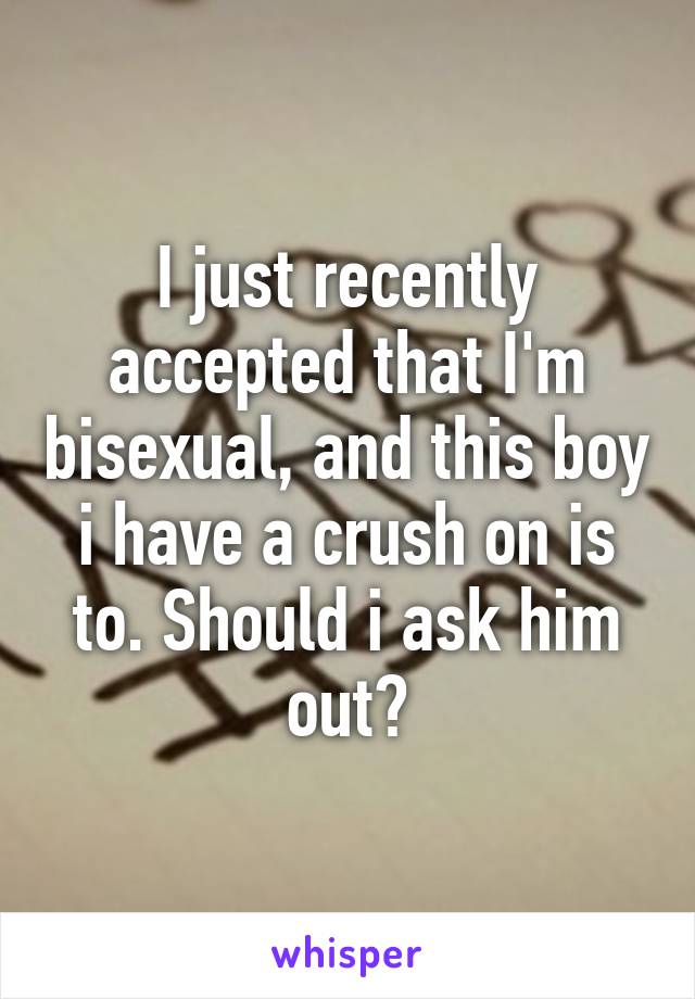 I just recently accepted that I'm bisexual, and this boy i have a crush on is to. Should i ask him out?