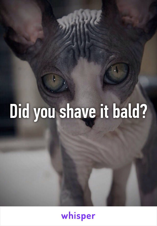 Did you shave it bald?