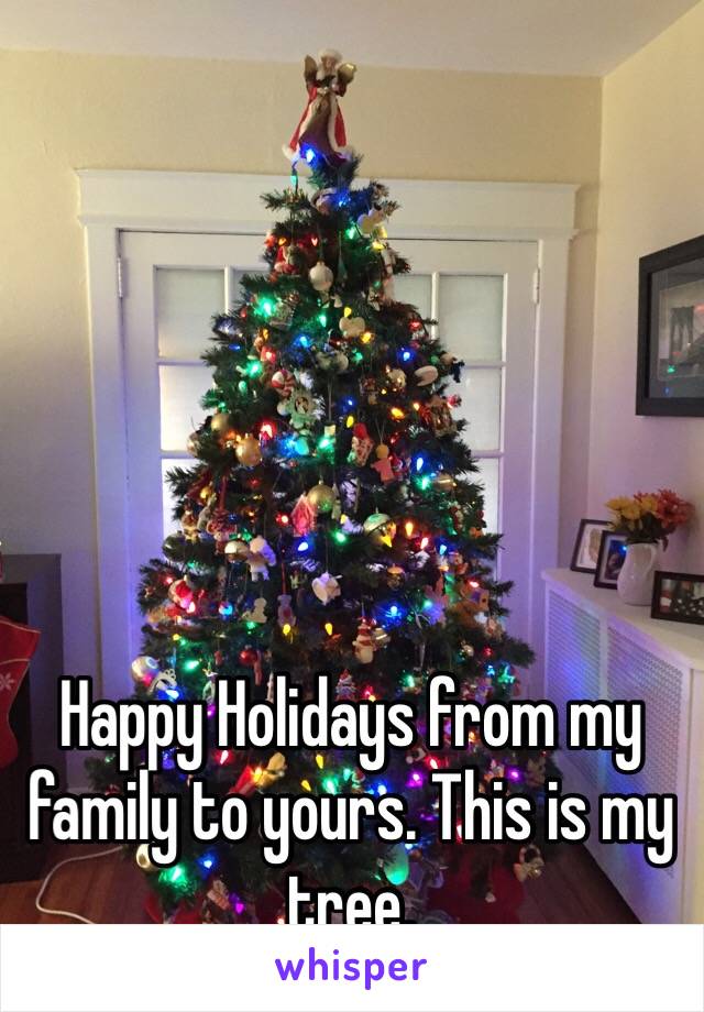 Happy Holidays from my family to yours. This is my tree. 