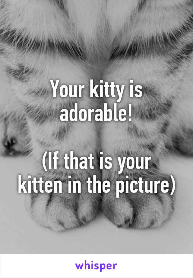 Your kitty is adorable!

(If that is your kitten in the picture)