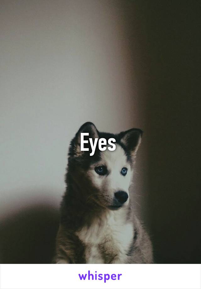 Eyes 