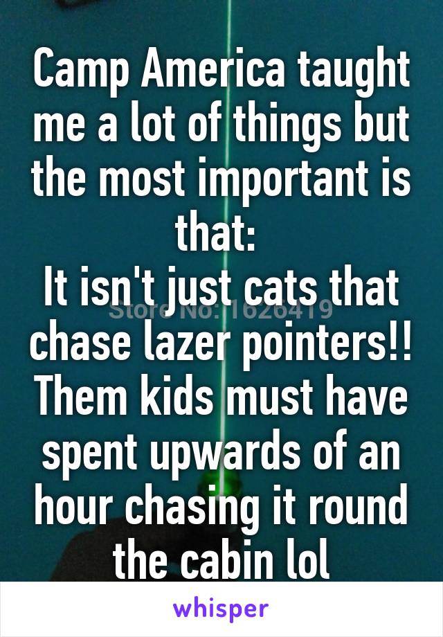 Camp America taught me a lot of things but the most important is that: 
It isn't just cats that chase lazer pointers!! Them kids must have spent upwards of an hour chasing it round the cabin lol