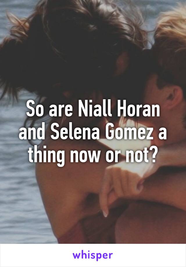 So are Niall Horan and Selena Gomez a thing now or not?