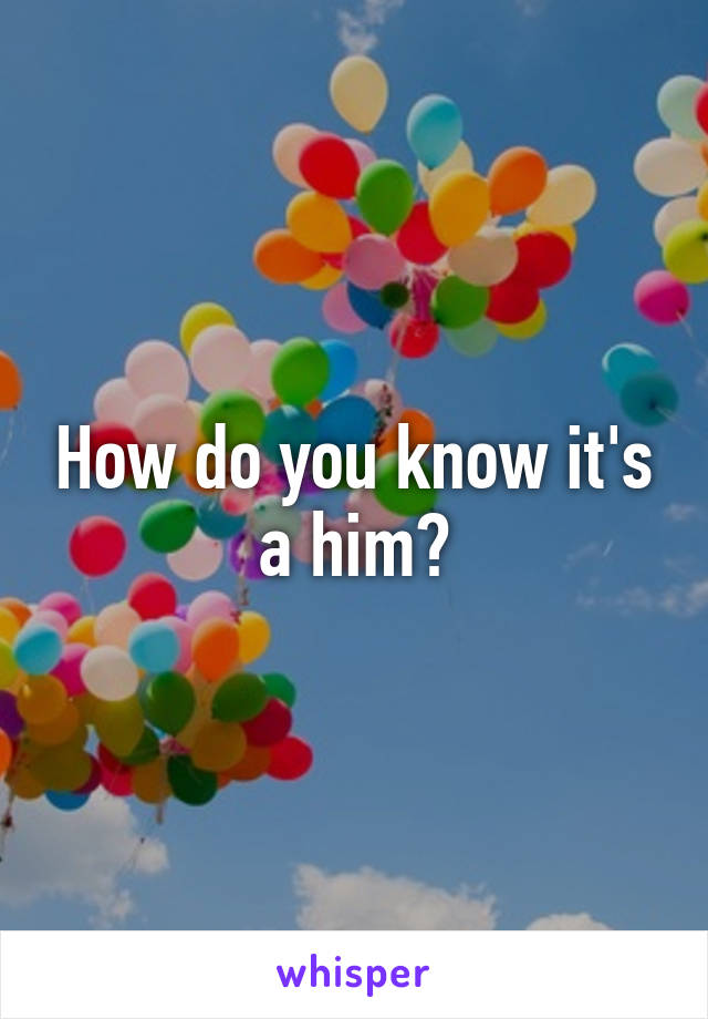 How do you know it's a him?