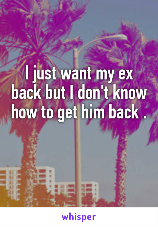 I just want my ex back but I don't know how to get him back . 
