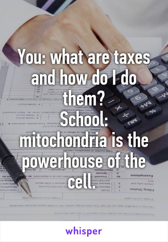 You: what are taxes and how do I do them?
School: mitochondria is the powerhouse of the cell. 