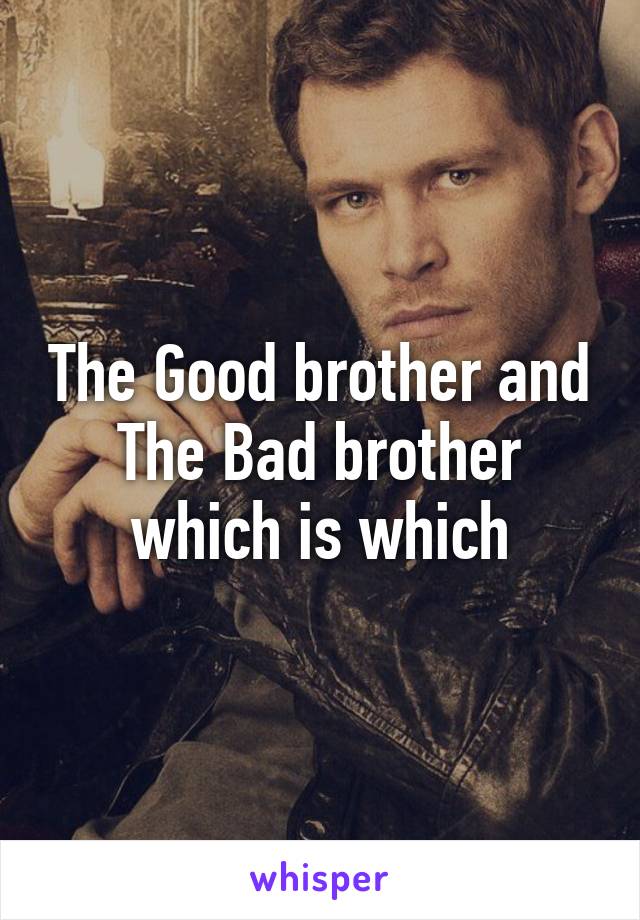 The Good brother and The Bad brother which is which