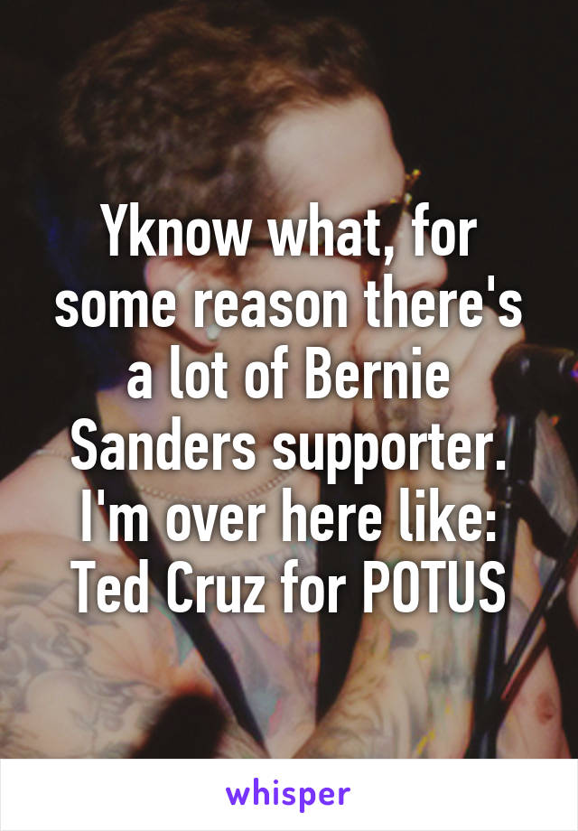 Yknow what, for some reason there's a lot of Bernie Sanders supporter. I'm over here like: Ted Cruz for POTUS