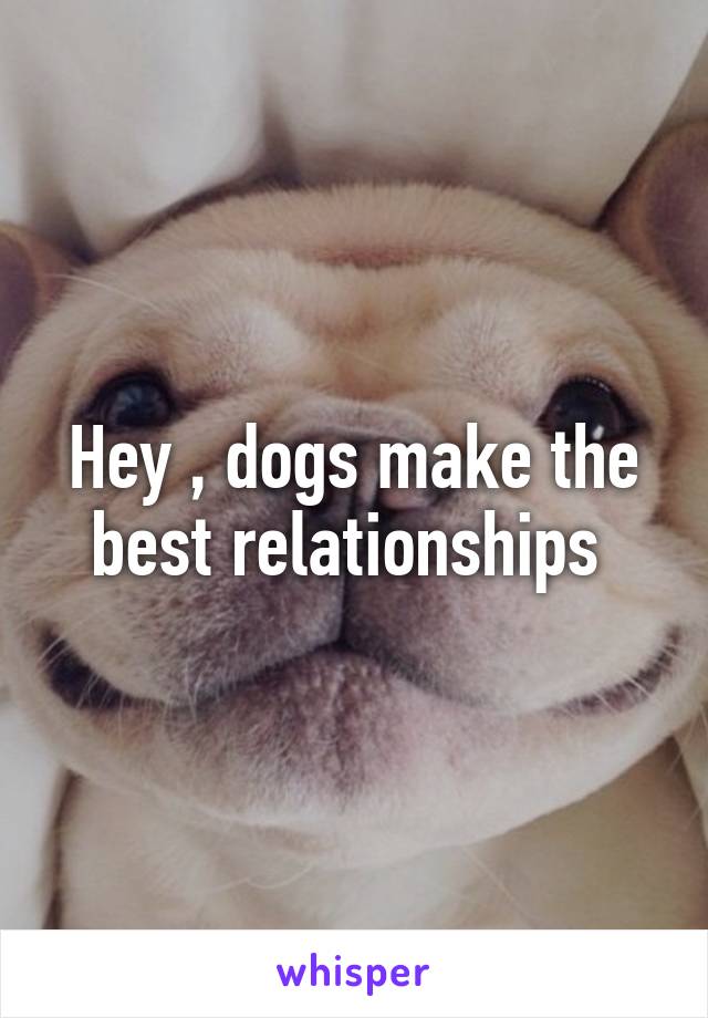 Hey , dogs make the best relationships 