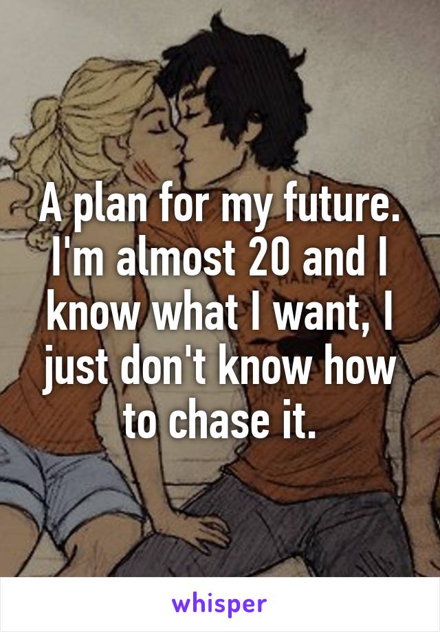A plan for my future. I'm almost 20 and I know what I want, I just don't know how to chase it.