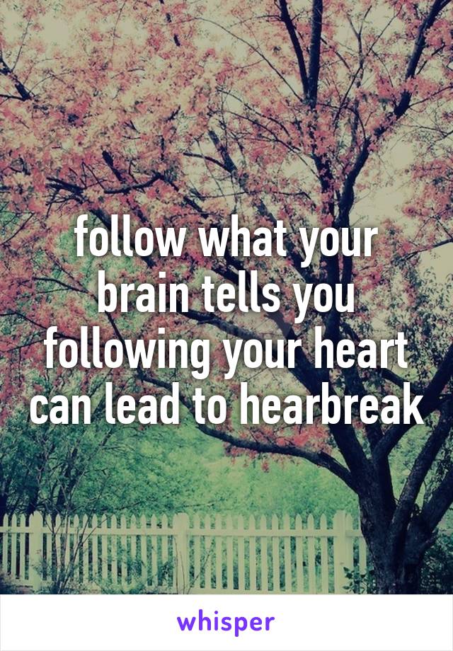 follow what your brain tells you following your heart can lead to hearbreak