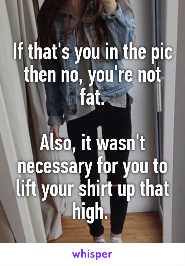 If that's you in the pic then no, you're not fat.

Also, it wasn't necessary for you to lift your shirt up that high. 