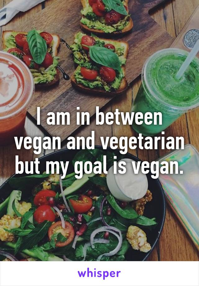 I am in between vegan and vegetarian but my goal is vegan.