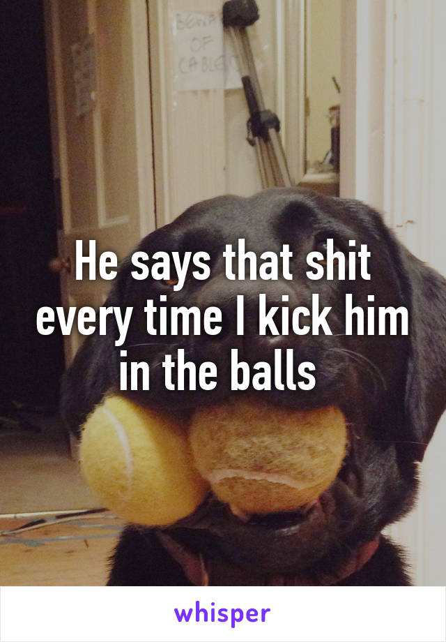 He says that shit every time I kick him in the balls 