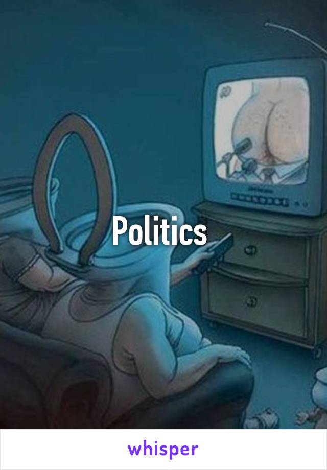 Politics 