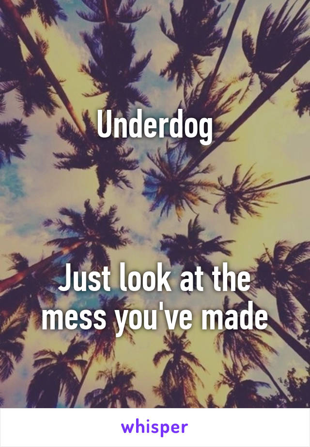 Underdog



Just look at the mess you've made